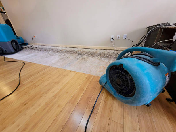 Professional Water Removal technician working in Irvington, NY